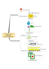 Aufgliederung der Betriebe - Konsum und Produktion (Mindmap)